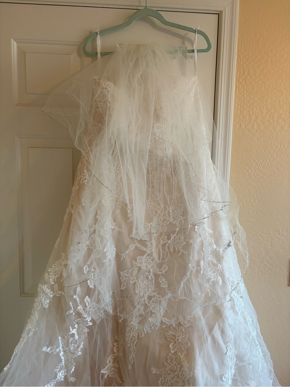 David's Bridal Ivory/Champagne Bridal Gown - Picture 8 of 11